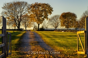 Welcoming-Farm
