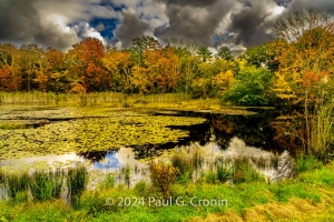 Fall-Colors-Pre-thundershower