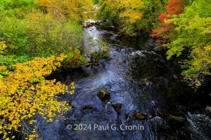Fall-Colors-Rhode-Island