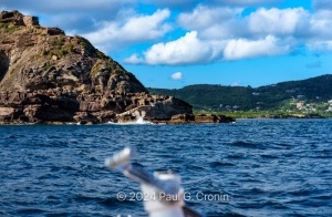 SW-Point-Falmouth-Harbor-