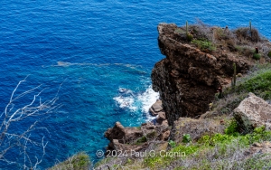 Antigua-Beauty-3