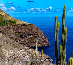 Antigua-Beauty-5