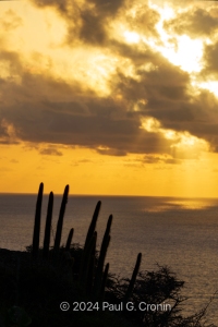 Antigua-Beauty-8