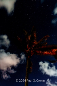 Antigua-Beauty-Dutchmans-11