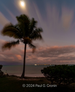 Antigua-Beauty-Dutchmans-2