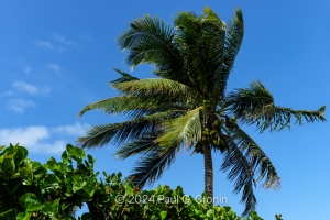 Antigua-Beauty-Dutchmans-8