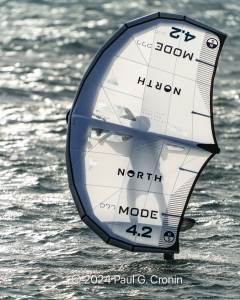 Dani-Edwards-Ripping-2