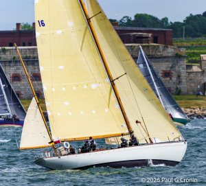 2_Dorade-in-fine-form-16787 2_Dorade-in-fine-form-16787