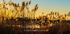 January 2024
