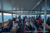 Coastal-Queen-3-