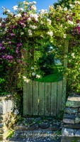 Beautiful Arbor June