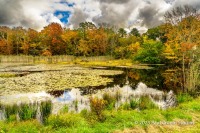Rhode Island Fall