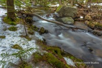 Maine Acadia