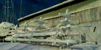 Frozen Mast