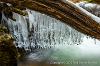 Natures-Pipe-Organ-