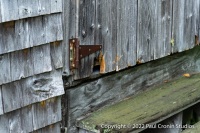 Back-door-