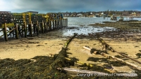 Winter-Low-Tide-