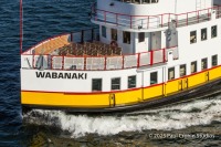 Wabanaki