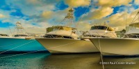 Ft. Lauderdale Boat Show