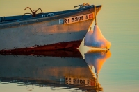 Frozen-Mooring