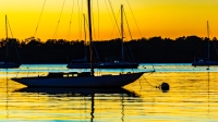 Herresoff Sunset