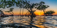 Florida Keys Backcountry