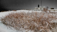 Beavertil-NorEaster