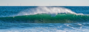 Windfarm-Wave