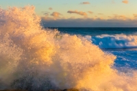 Foamy-Wave-4312