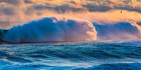 Screaming-Wave-4363